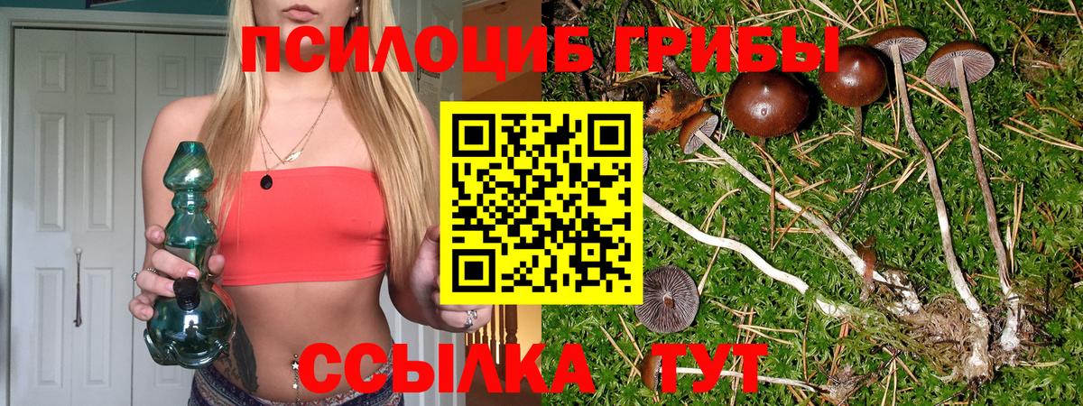 Псилоцибиновые грибы мухоморы Северобайкальск