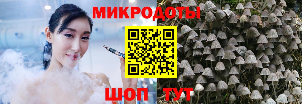 Галлюциногенные грибы прущие грибы  Вход с VPN  Галлюциногенные грибы GOLDEN TEACHER  Северобайкальск 